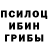Галлюциногенные грибы Magic Shrooms Wilmar Montalvo