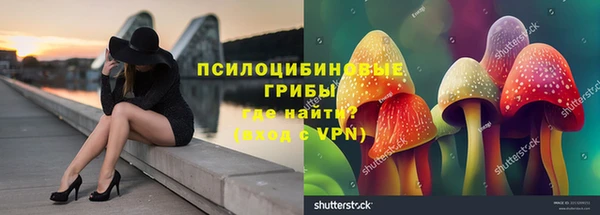 амф Рославль