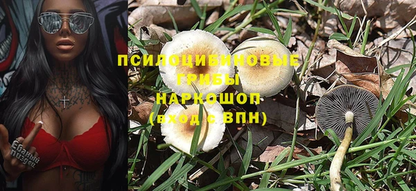 Альфа ПВП Баксан
